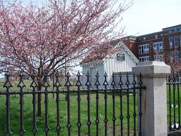 Eastern Cemetery view from Congress Street with the fence in front and the Dead House behind with a blossoming cherry tree between