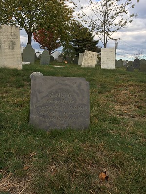 head stone of Sally and Israel Dodge