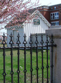 blooming cemetery