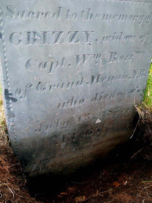 Grizzy's Stone