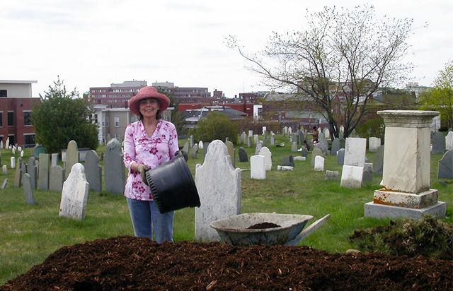 volunteers gardening in the cemetery