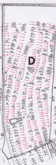 detail of Section D plots of the Eastern Cemetery map with hand-drawn plots added to blank areas