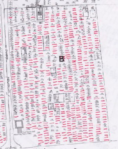 detail of Section B plots of the Eastern Cemetery map with hand-drawn plots added to blank areas
