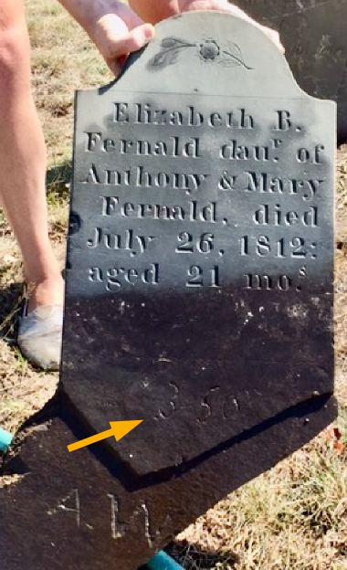 Someone holding up a slate gravestone on top of the ground. It is carved with a small stemmed flower and the inscription Elizabeth B. Fernald daur. of Anthony & Mary Fernald, died July 26, 1812: aged 21 mos. 3.50 is scratched in below the burial line, and A.W. below that. A yellow arrow is superimposed on the image and points to 3.50.