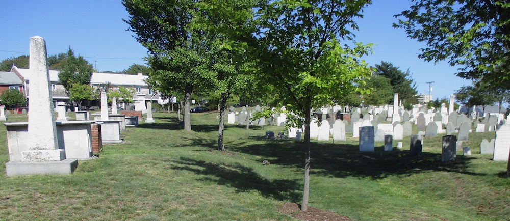 landscape view of Eastern Cemetery from Section C. Monuments and white marble markers are plentiful among the green grass and a line of green leafed trees is lined in the center